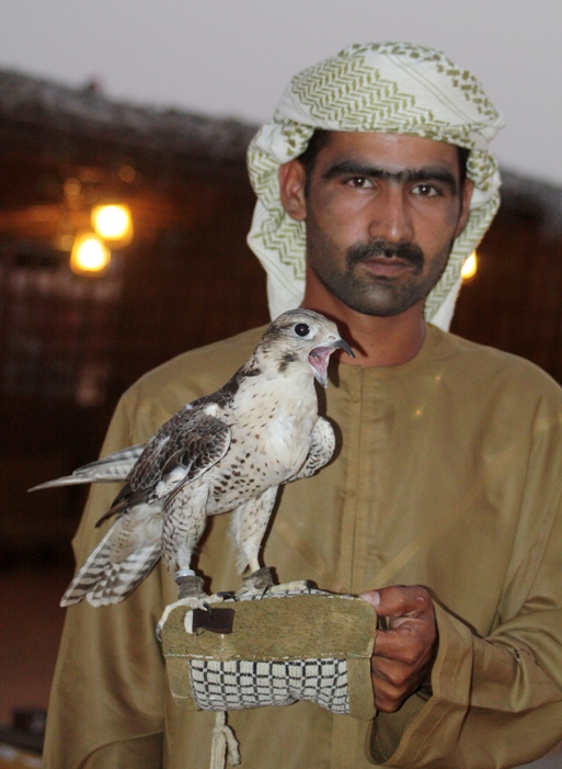 falcon and falconer